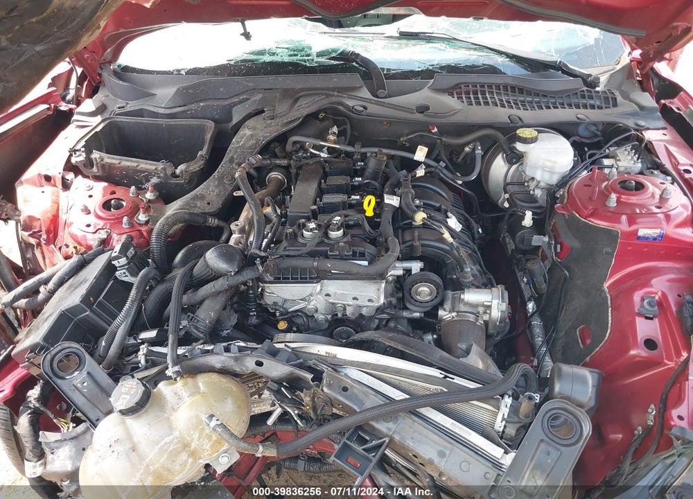 2019 FORD MUSTANG ECOBOOST VIN: 1FA6P8TH1K5125655