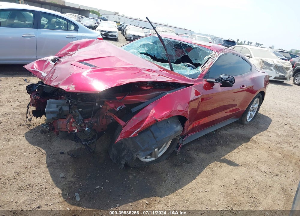 2019 FORD MUSTANG ECOBOOST VIN: 1FA6P8TH1K5125655