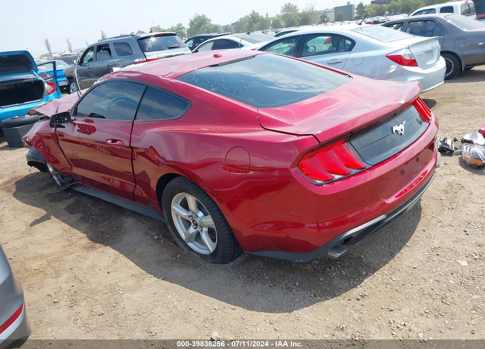 2019 FORD MUSTANG ECOBOOST VIN: 1FA6P8TH1K5125655