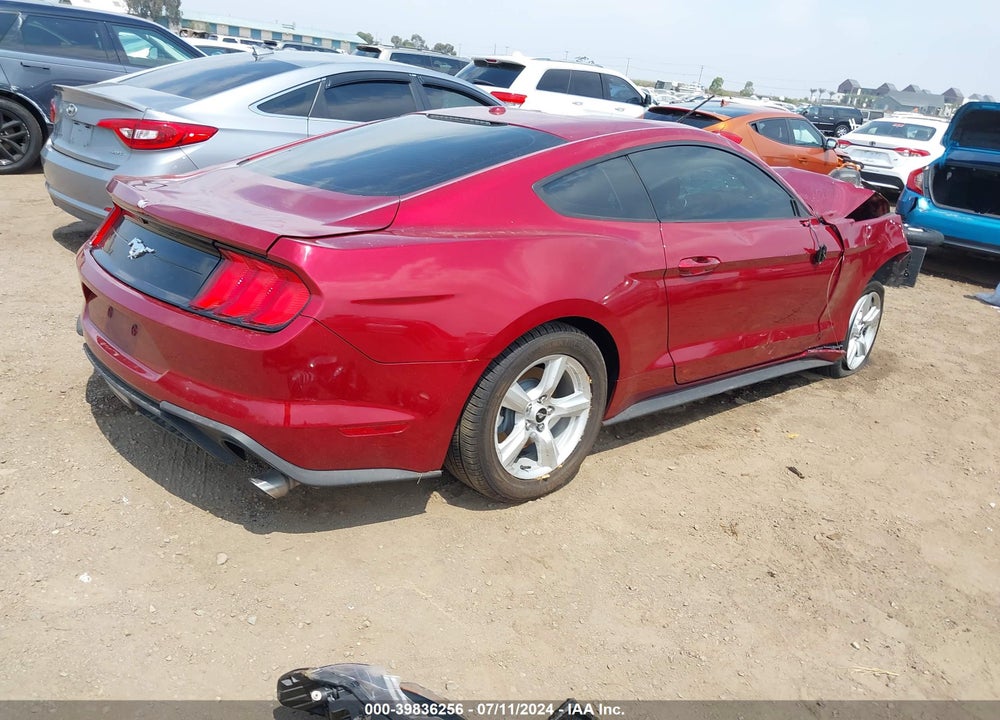 2019 FORD MUSTANG ECOBOOST VIN: 1FA6P8TH1K5125655