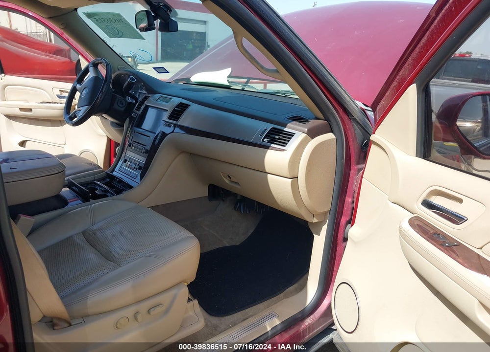 2009 CADILLAC ESCALADE STANDARD VIN: 1GYFC232X9R290700