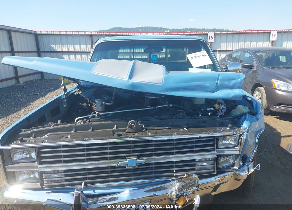 1984 CHEVROLET C10 VIN: 1GCDC14H9EJ172026
