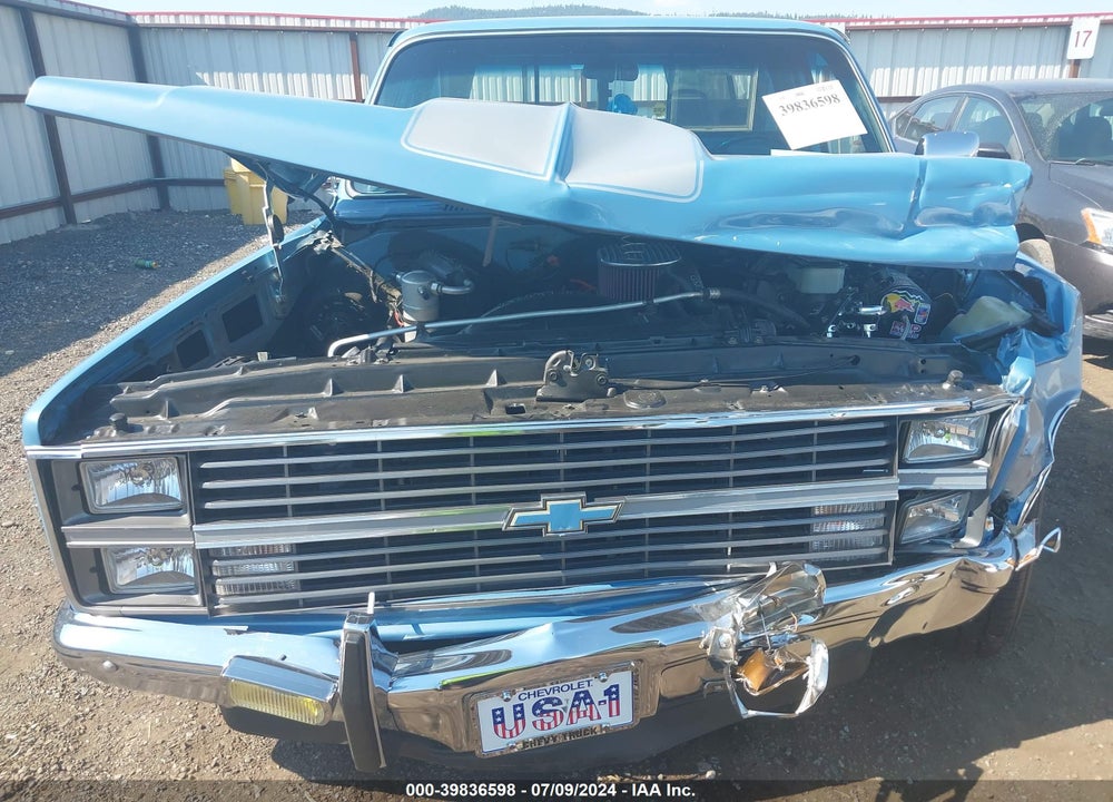 1984 CHEVROLET C10 VIN: 1GCDC14H9EJ172026