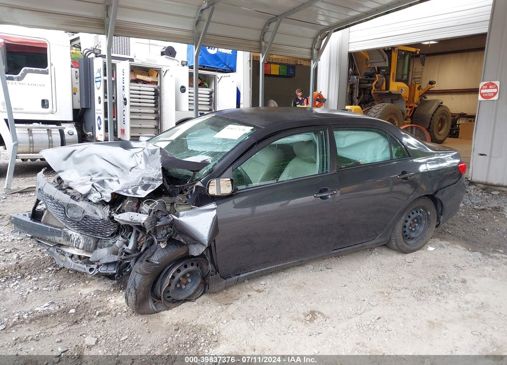 2010 TOYOTA COROLLA LE VIN: 1NXBU4EE9AZ232224
