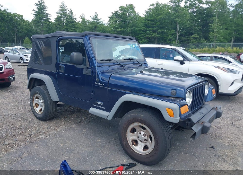 2003 JEEP WRANGLER SPORT VIN: 1J4FA49S13P351072