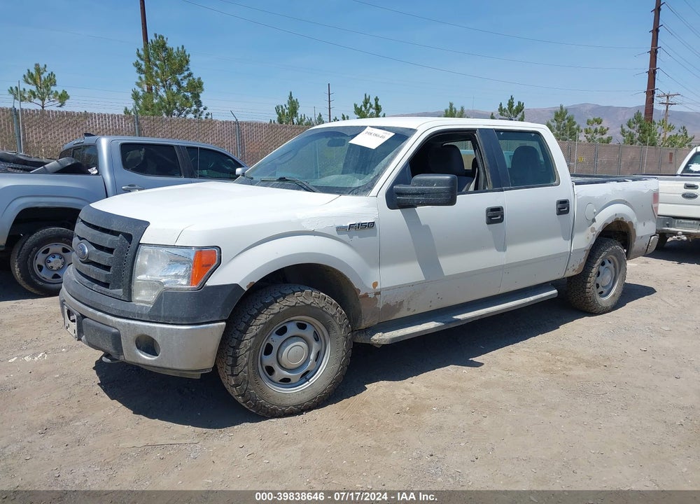 2012 FORD F-150 XL VIN: 1FTFW1EF8CFB57904
