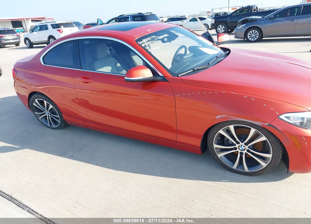 2016 BMW 228I VIN: WBA1F9C51GV544158