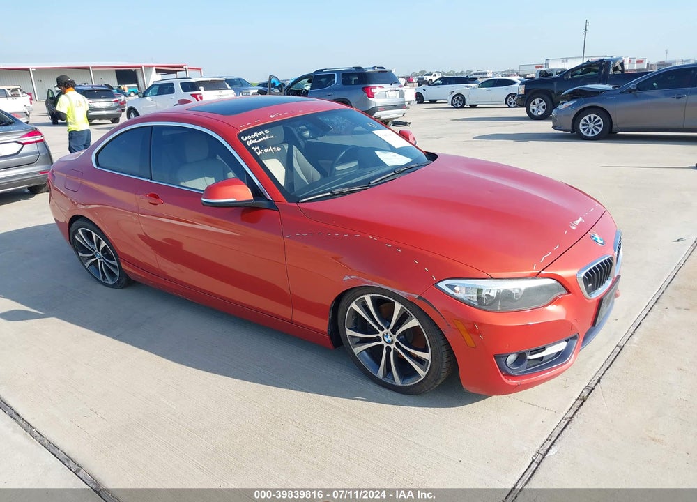 2016 BMW 228I VIN: WBA1F9C51GV544158