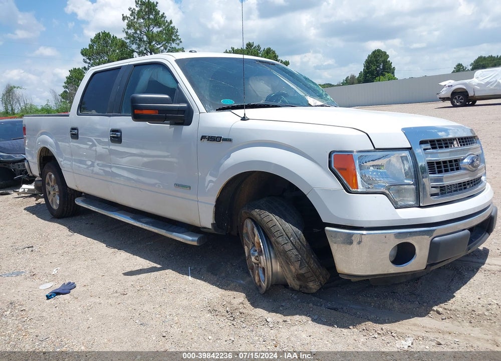 2014 FORD F-150 XLT VIN: 1FTFW1CT7EFB50177