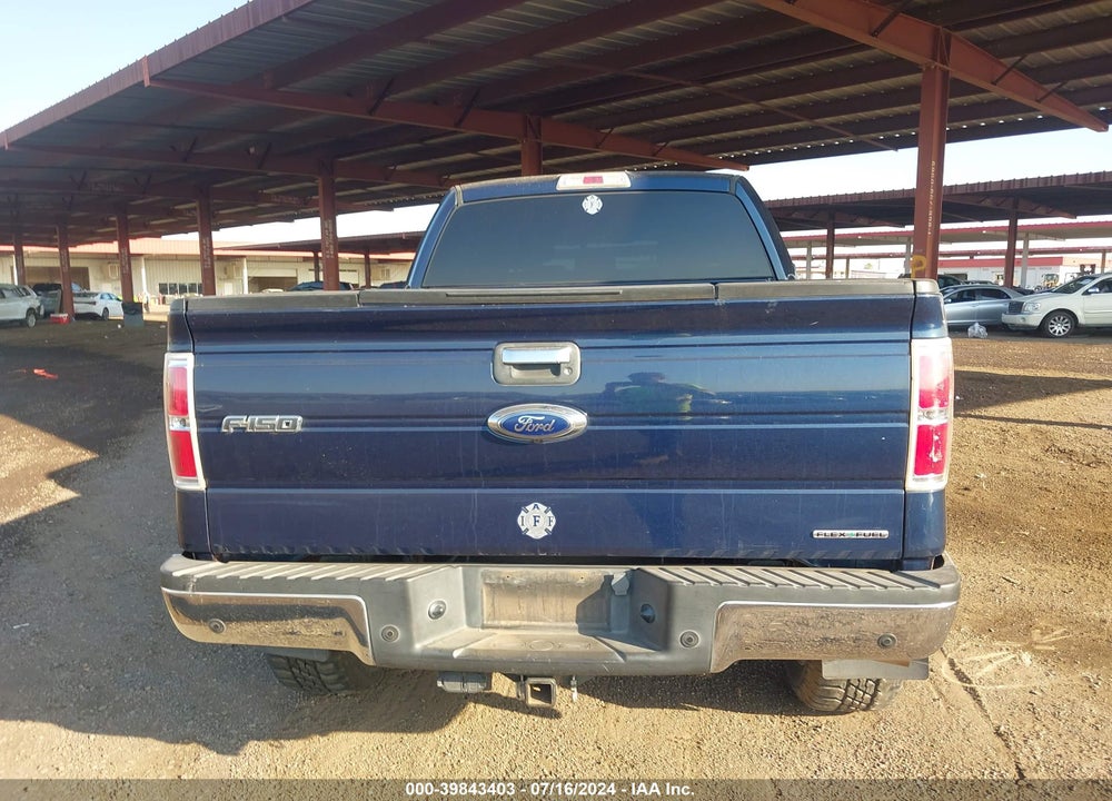2013 FORD F-150 XLT VIN: 1FTFW1EF9DKD00884