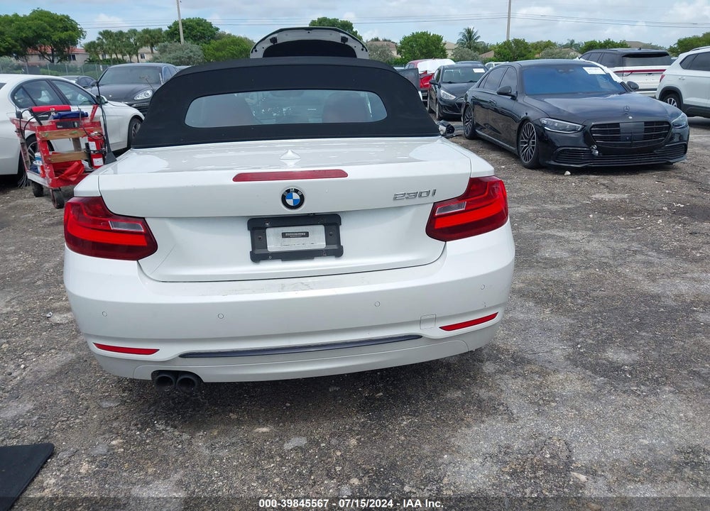 2017 BMW 230I VIN: WBA2K9C33H7A26317