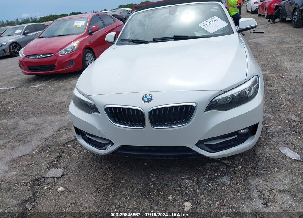 2017 BMW 230I VIN: WBA2K9C33H7A26317