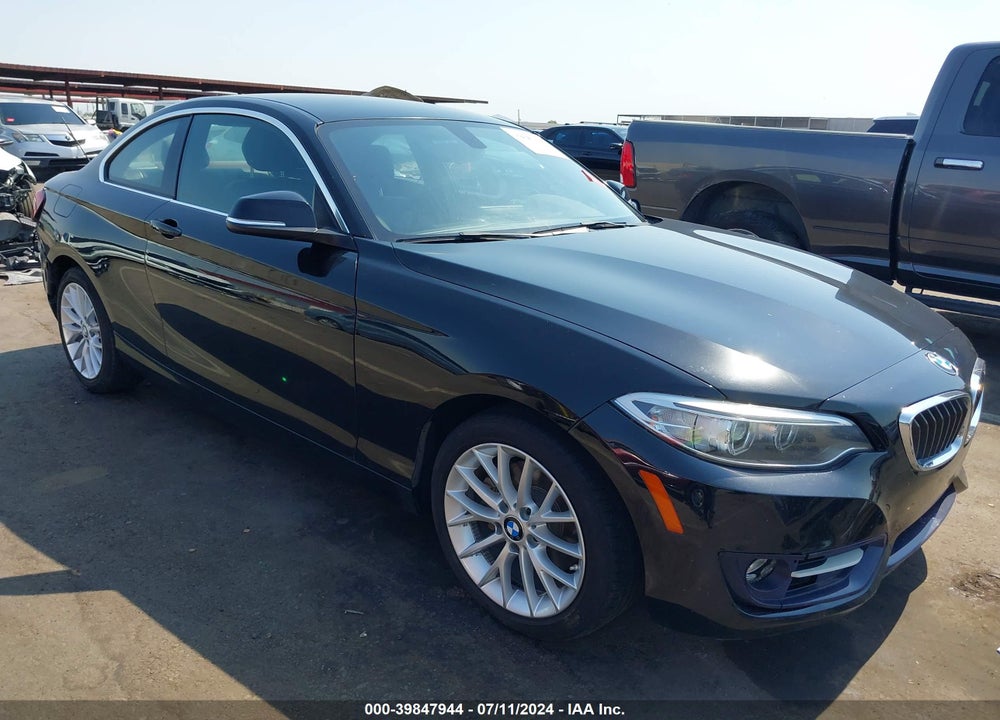 2016 BMW 228I VIN: WBA1F9C55GV545717