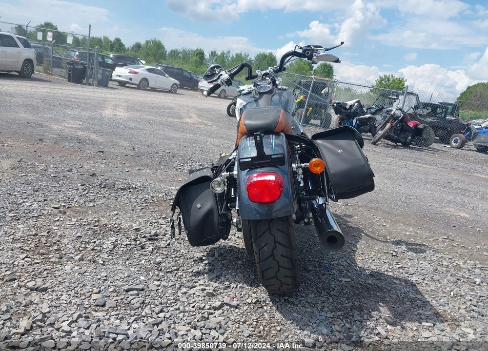 2015 HARLEY-DAVIDSON FXDL DYNA LOW RIDER VIN: 1HD1GNM12FC307532
