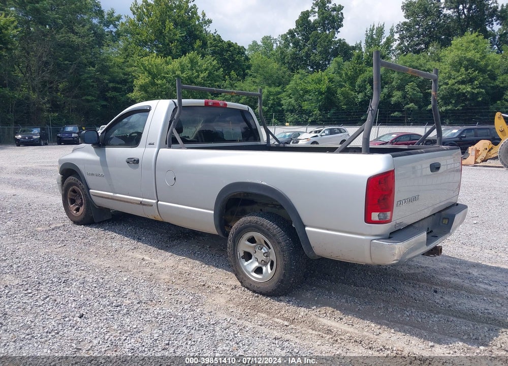 2002 DODGE RAM 1500 ST VIN: 1D7HA16Z12J265640
