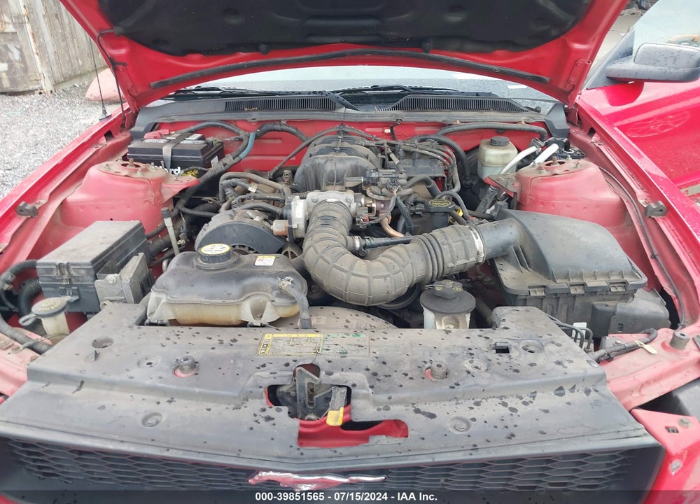 2005 FORD MUSTANG VIN: 1ZVHT84N855181063