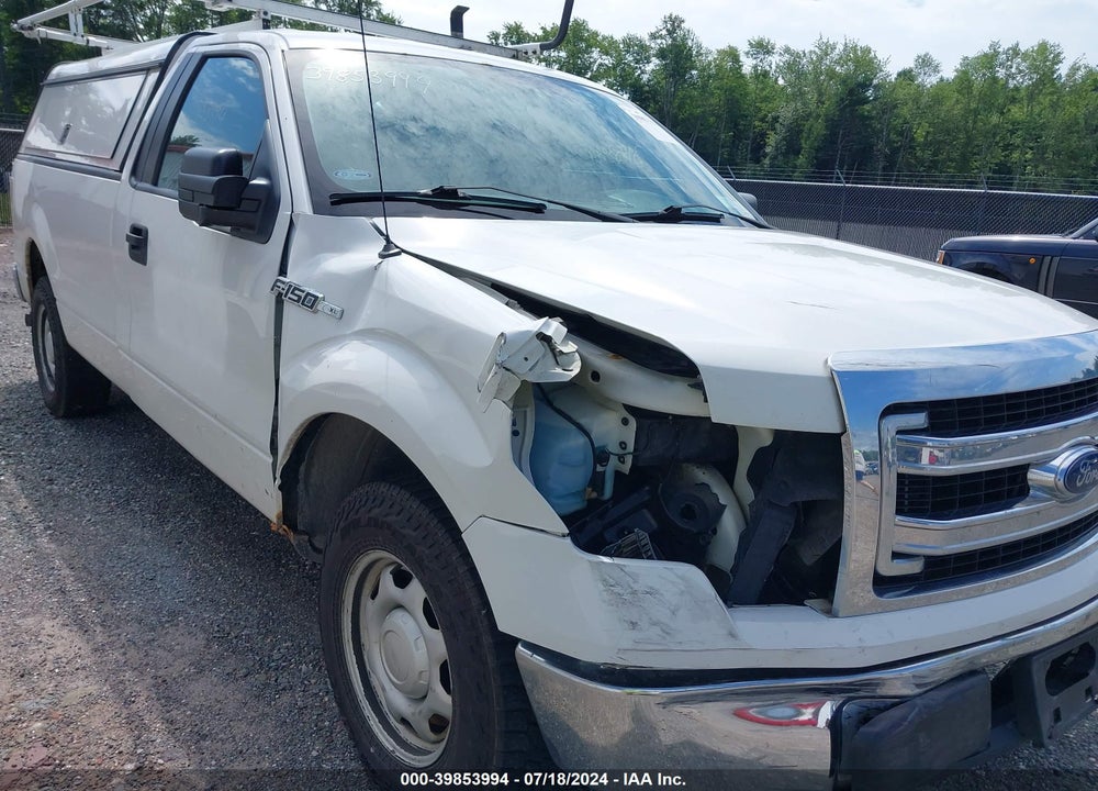 2013 FORD F-150 XL VIN: 1FTNF1CFXDKF22817