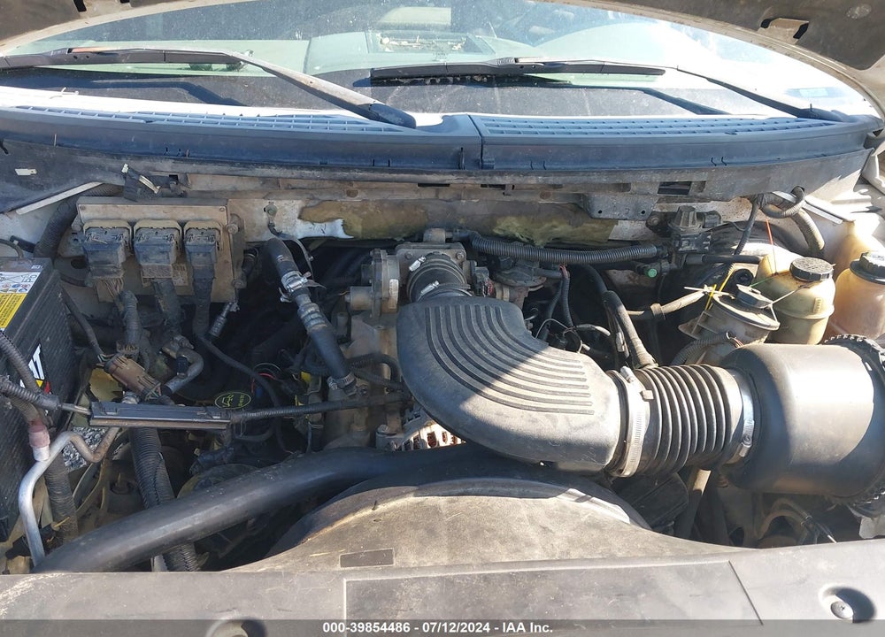 2004 FORD F-150 STX/XL/XLT VIN: 1FTRX12W34NA23310