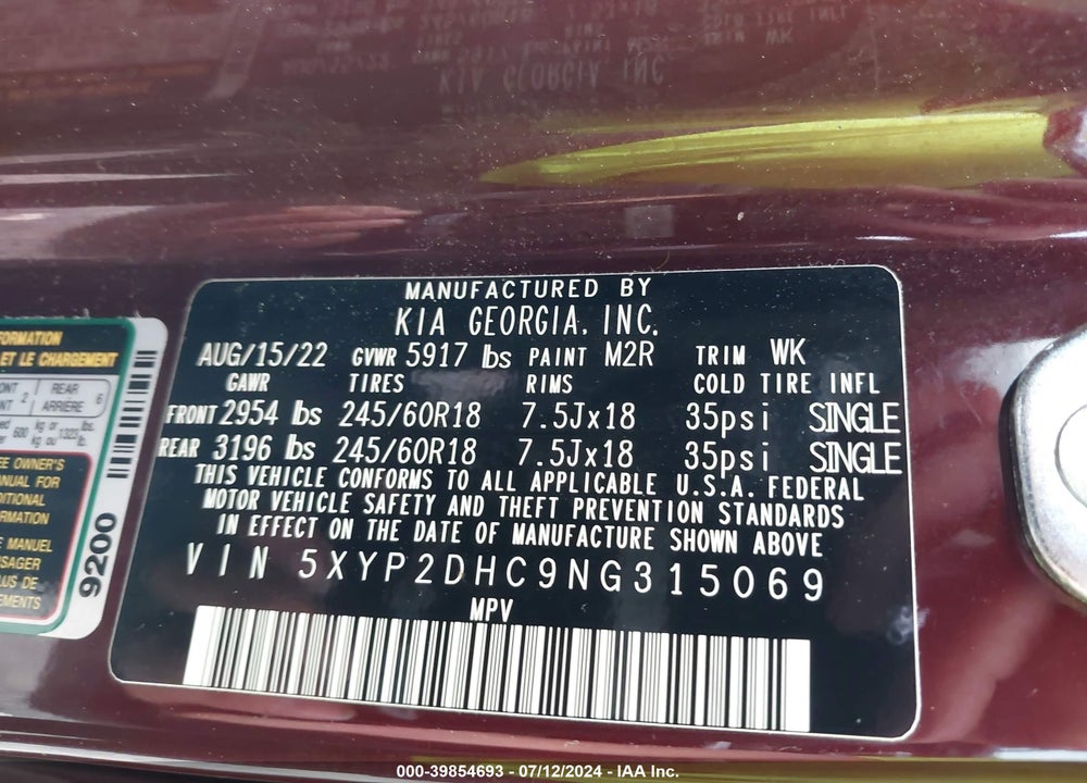 2022 KIA TELLURIDE LX VIN: 5XYP2DHC9NG315069