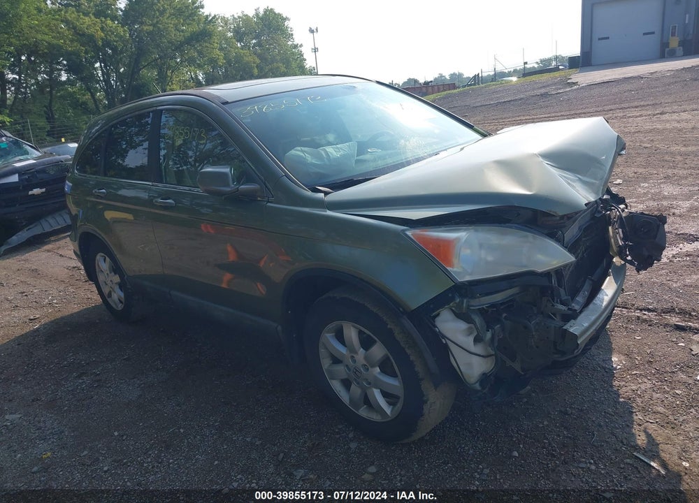 2009 HONDA CR-V EX-L VIN: 5J6RE48759L012989