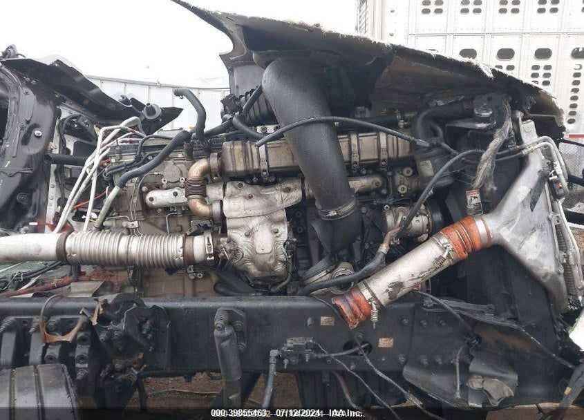 2019 FREIGHTLINER NEW CASCADIA 126 VIN: 3AKJHHDR7KSKF4951