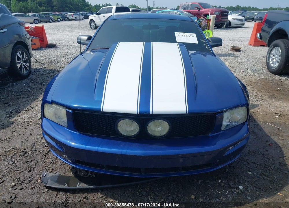 2006 FORD MUSTANG GT VIN: 1ZVFT82H665218262