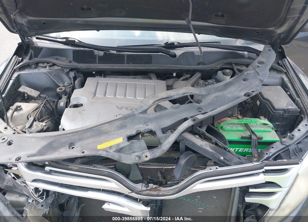 2009 TOYOTA VENZA BASE V6 VIN: 4T3BK11A19U006964