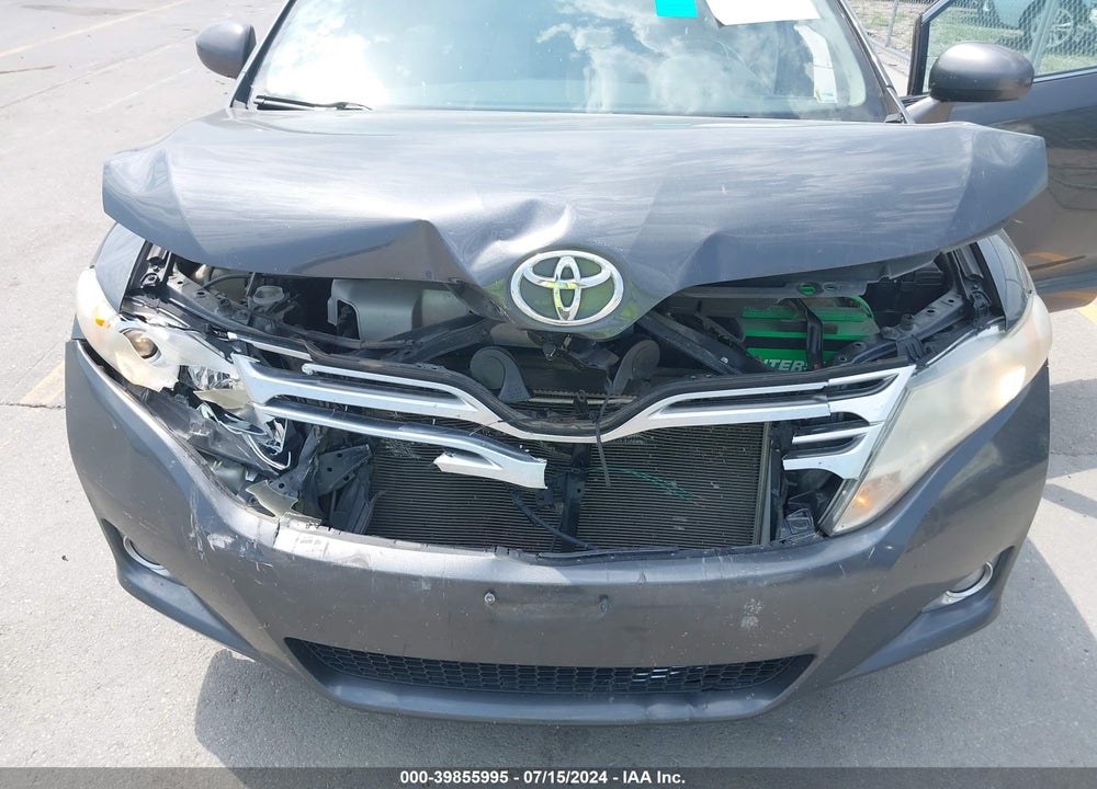 2009 TOYOTA VENZA BASE V6 VIN: 4T3BK11A19U006964
