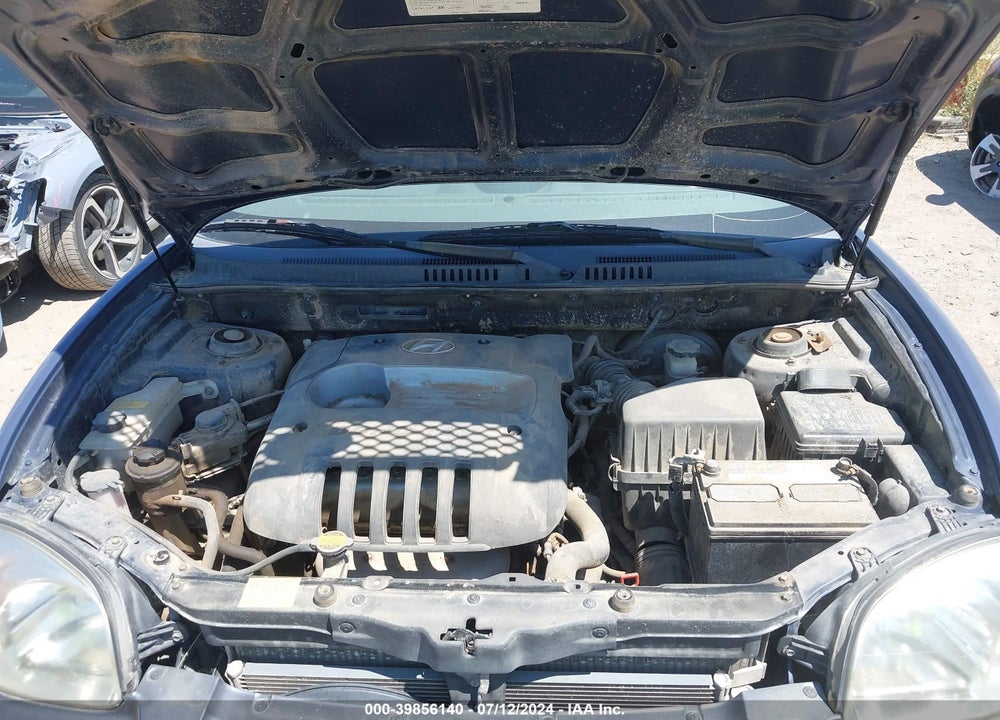 2004 HYUNDAI SANTA FE VIN: KM8SB12B14U749178