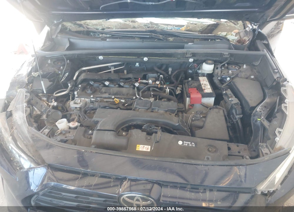 2019 TOYOTA RAV4 XLE PREMIUM VIN: JTMA1RFV7KD028429