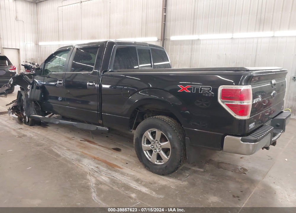 2010 FORD F-150 XLT VIN: 1FTFW1EV8AFC58610