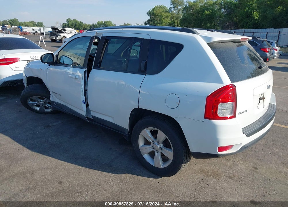 2011 JEEP COMPASS VIN: 1J4NF1FB9BD257876