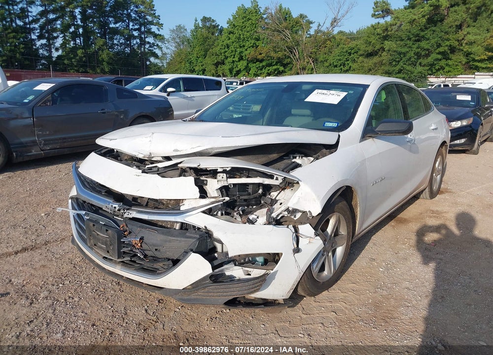 2019 CHEVROLET MALIBU 1FL VIN: 1G1ZC5STXKF208981