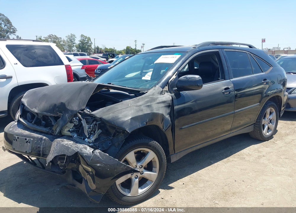 2004 LEXUS RX 330 VIN: JTJGA31U440010208