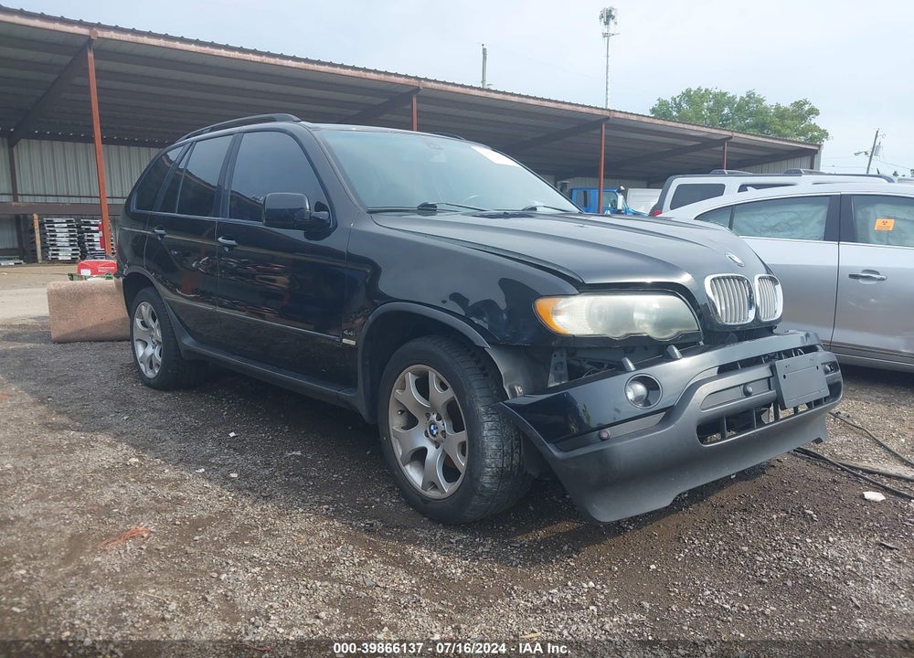 2003 BMW X5 4.4I VIN: 5UXFB33513LH44773
