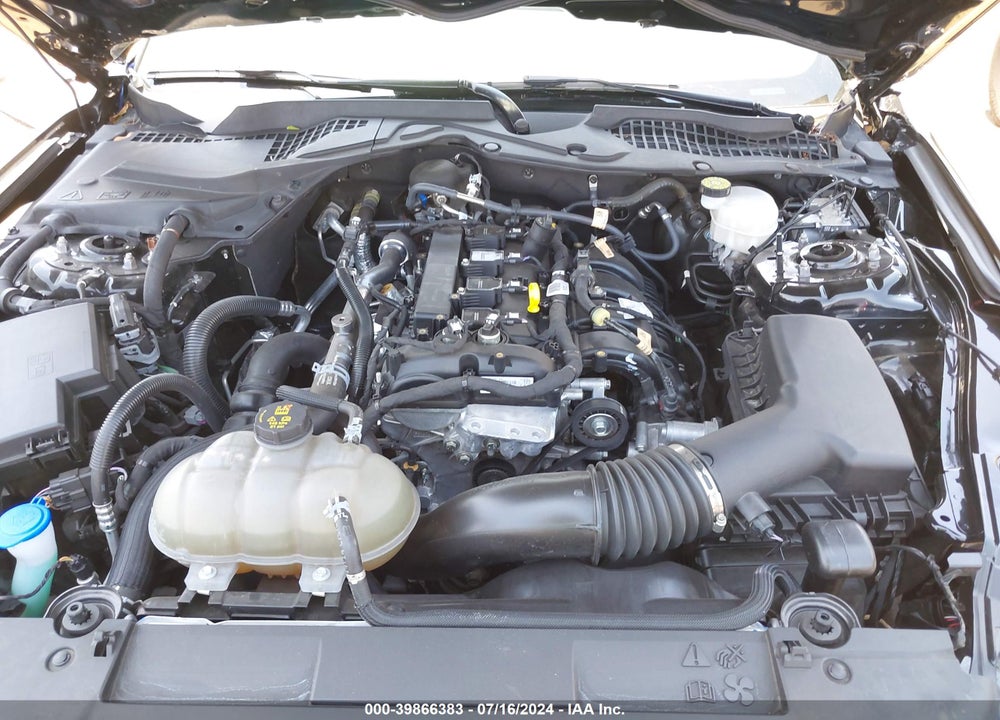 2022 FORD MUSTANG ECOBOOST FASTBACK VIN: 1FA6P8TH3N5146155