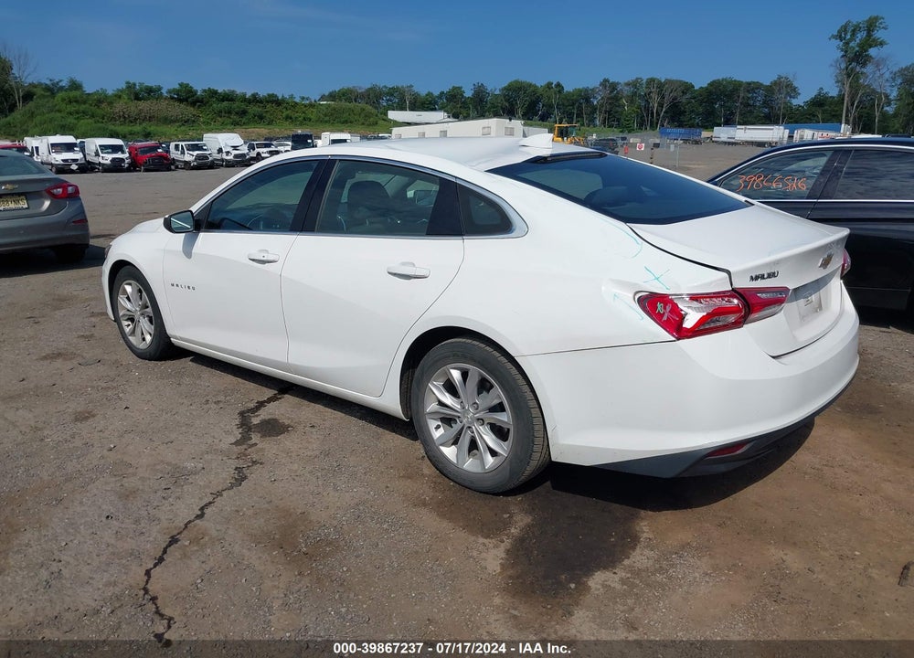 2019 CHEVROLET MALIBU LT VIN: 1G1ZD5ST7KF149143