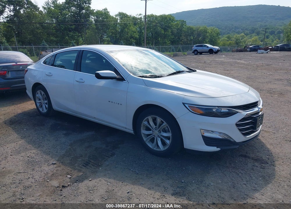 2019 CHEVROLET MALIBU LT VIN: 1G1ZD5ST7KF149143