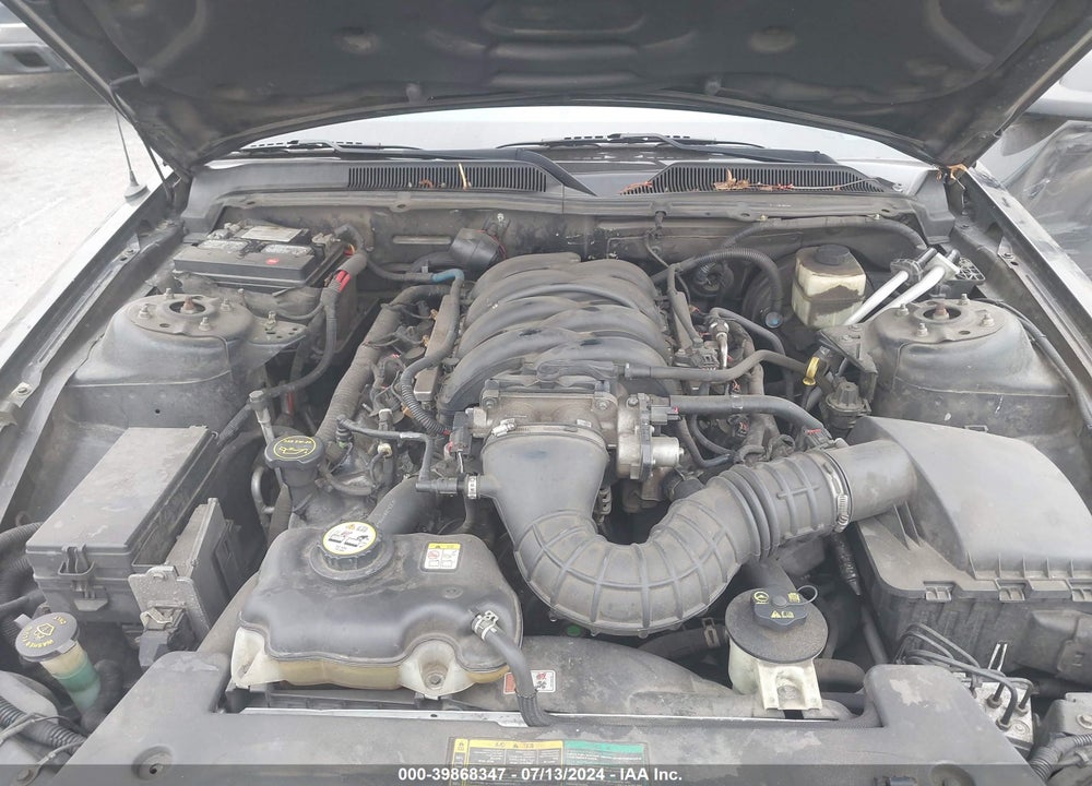 2006 FORD MUSTANG GT VIN: 1ZVFT85H465199111