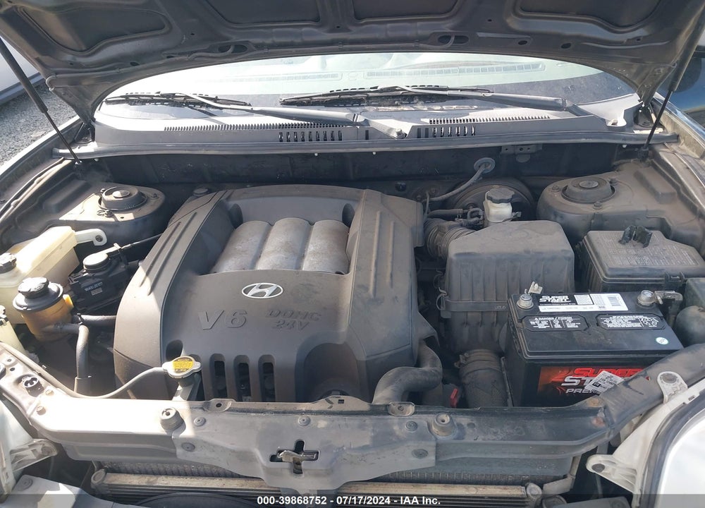 2003 HYUNDAI SANTA FE GLS/LX VIN: KM8SC13D83U389547