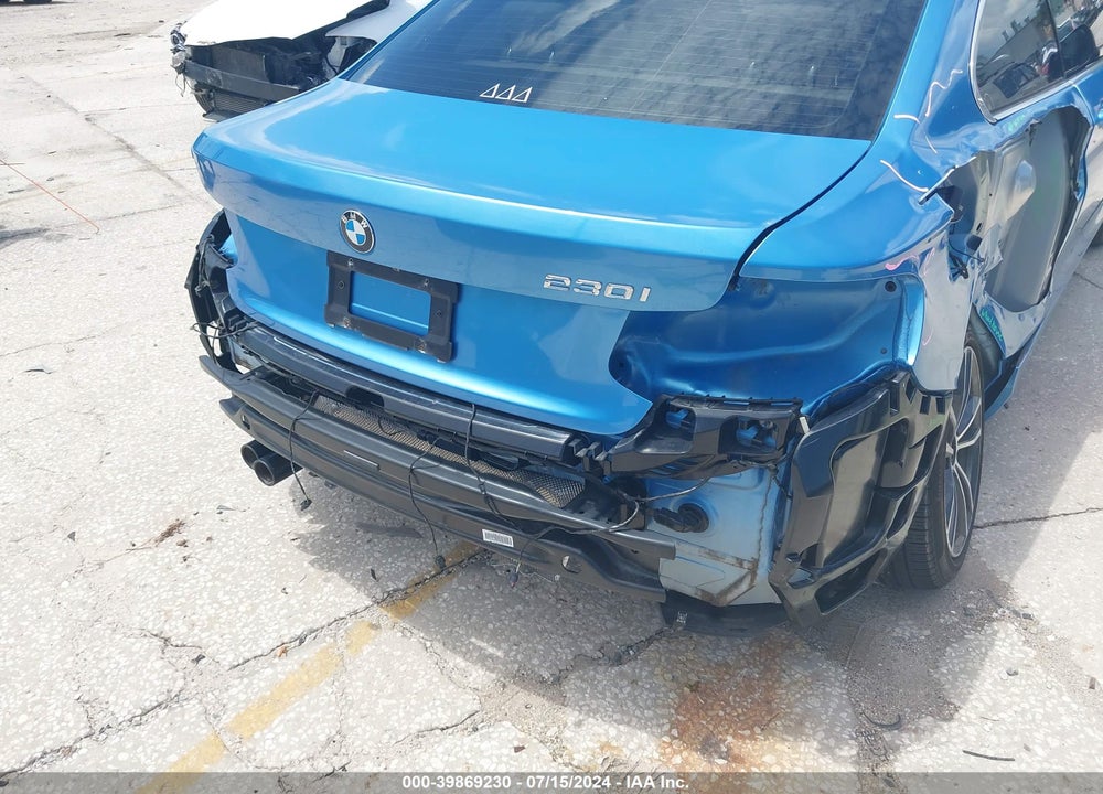2019 BMW 230I VIN: WBA2J1C58KVD10180