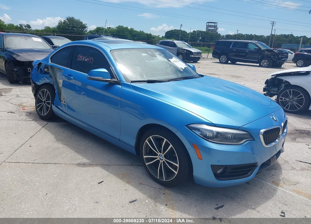 2019 BMW 230I VIN: WBA2J1C58KVD10180