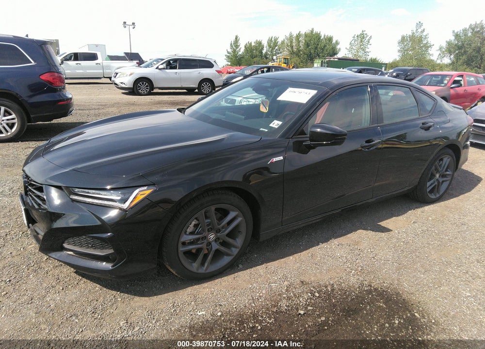 2024 ACURA TLX A-SPEC PACKAGE VIN: 19UUB6F50RA001093
