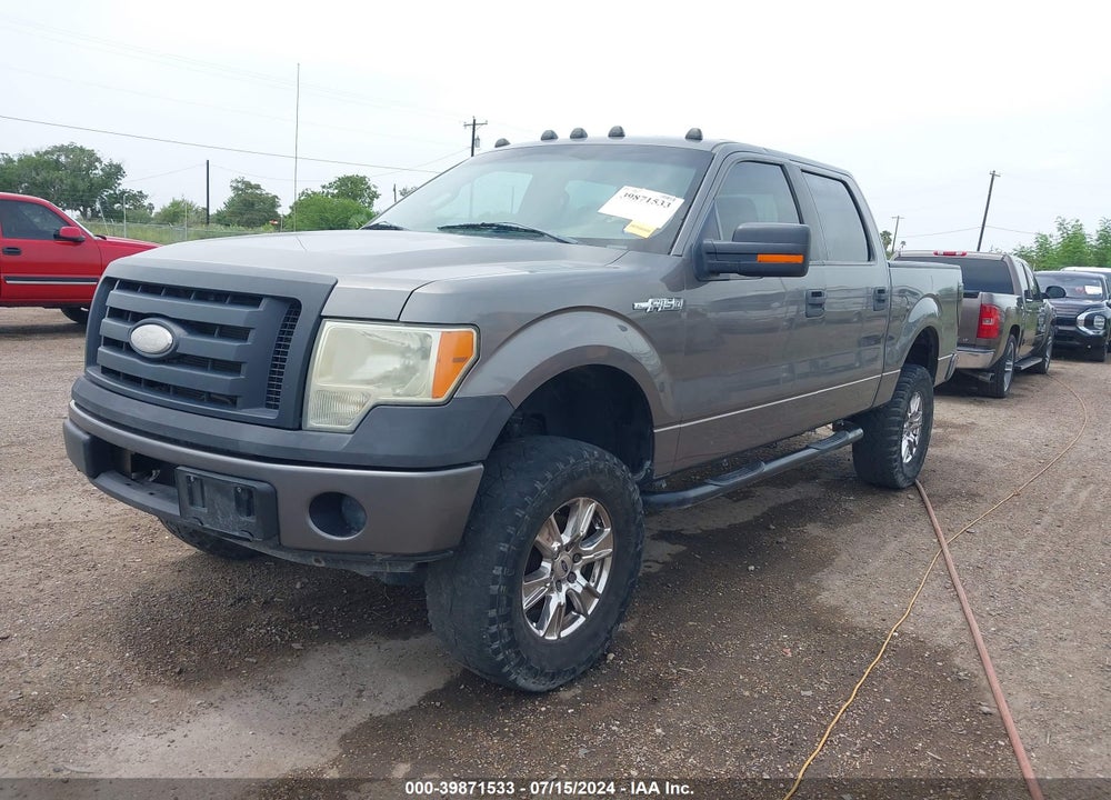 2009 FORD F-150 XL/XLT VIN: 1FTRW12W69FA76099