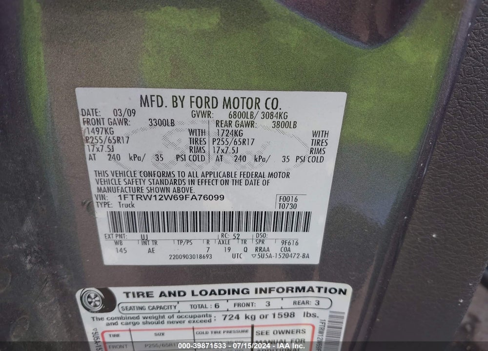 2009 FORD F-150 XL/XLT VIN: 1FTRW12W69FA76099