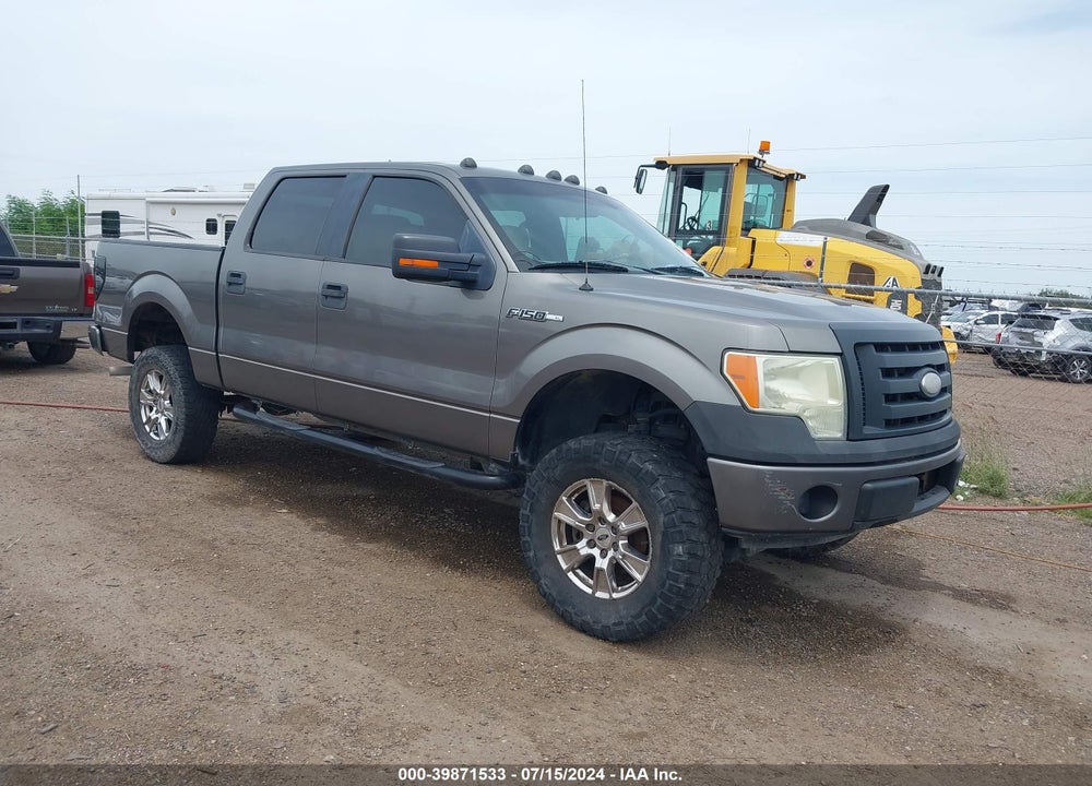 2009 FORD F-150 XL/XLT VIN: 1FTRW12W69FA76099