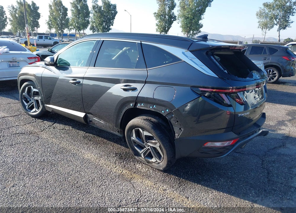 2024 HYUNDAI TUCSON LIMITED VIN: 5NMJE3DE8RH356612