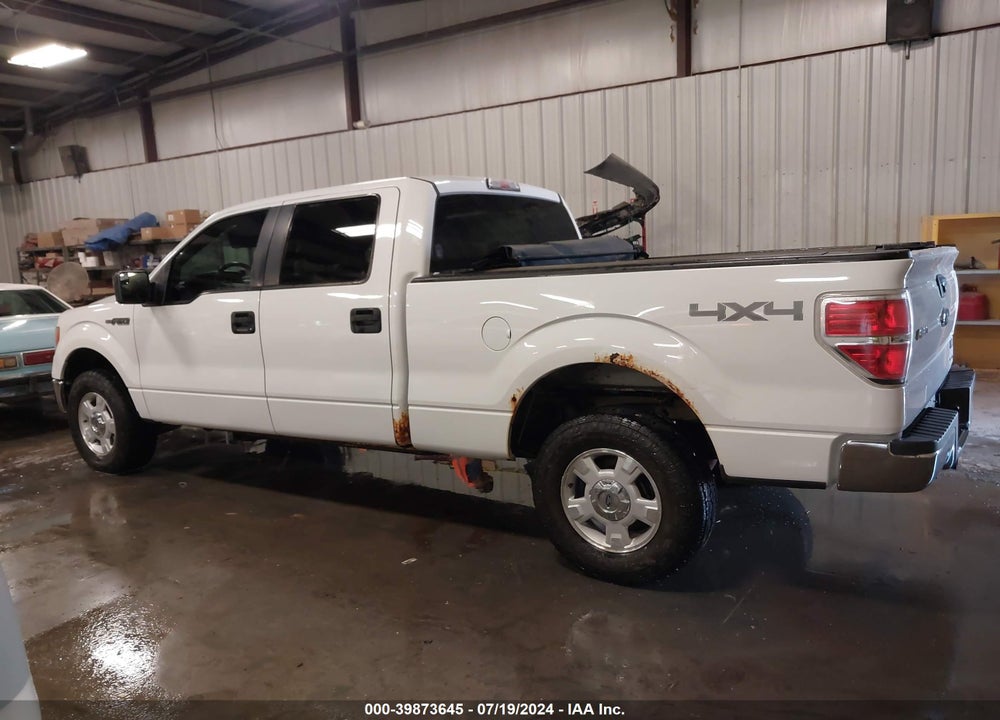2013 FORD F-150 XLT VIN: 1FTFW1EF1DKD36794