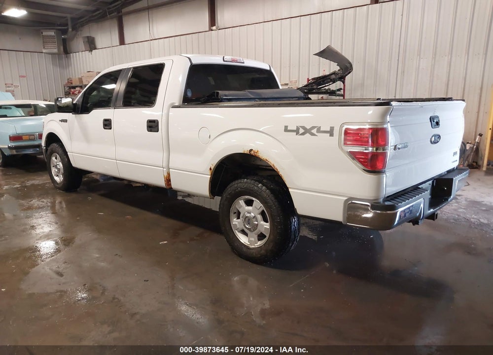 2013 FORD F-150 XLT VIN: 1FTFW1EF1DKD36794