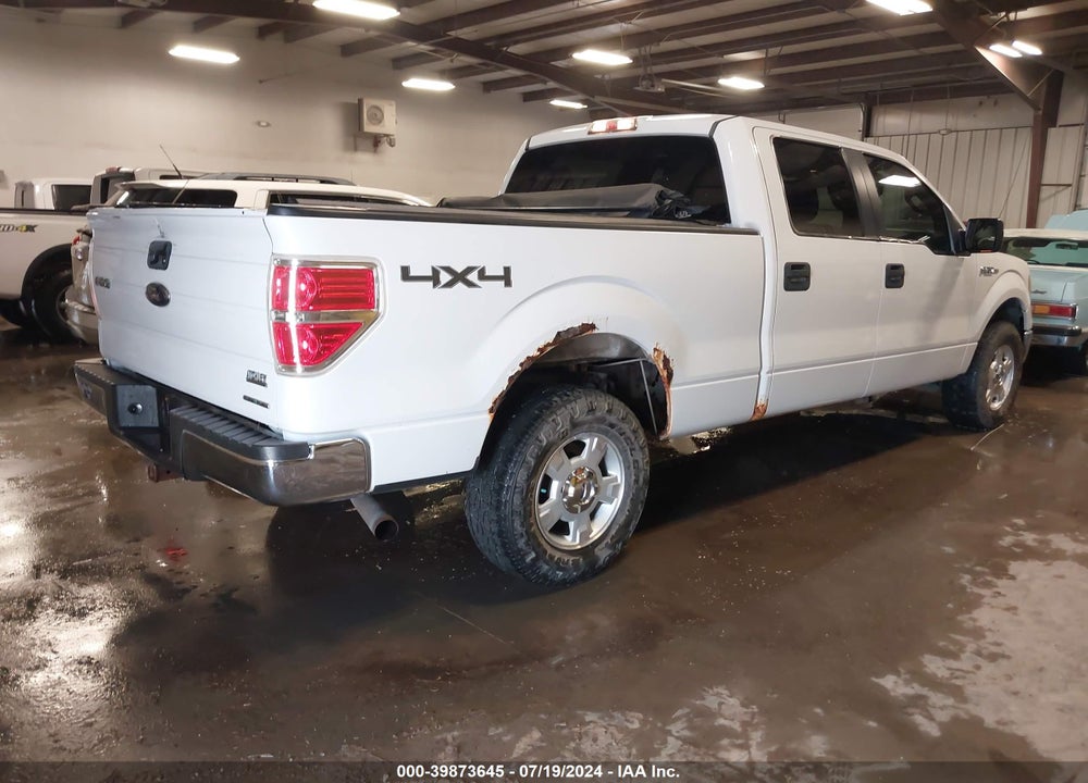 2013 FORD F-150 XLT VIN: 1FTFW1EF1DKD36794